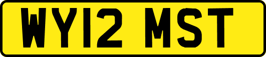 WY12MST