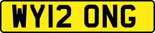 WY12ONG
