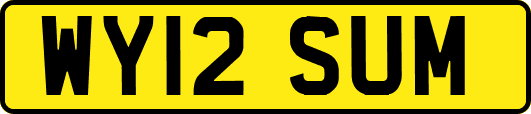 WY12SUM