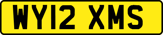 WY12XMS
