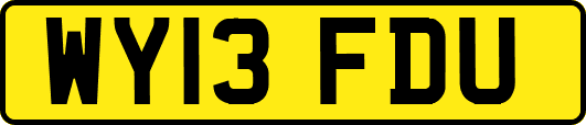 WY13FDU