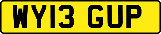 WY13GUP