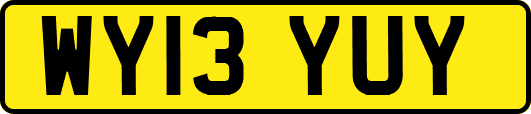 WY13YUY