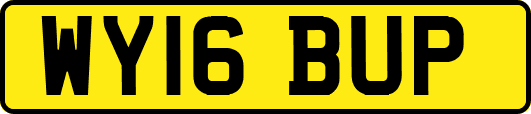 WY16BUP
