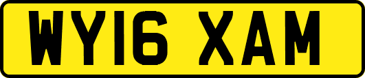 WY16XAM