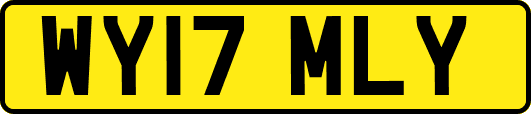 WY17MLY