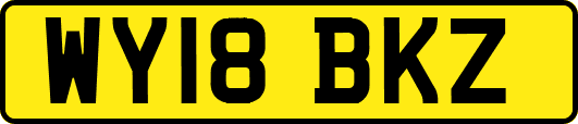 WY18BKZ