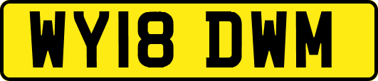 WY18DWM