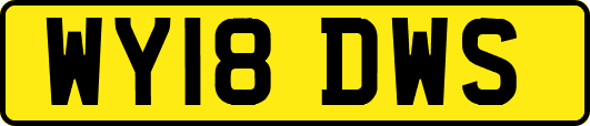 WY18DWS