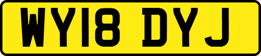 WY18DYJ