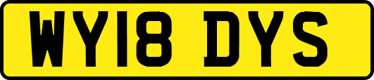 WY18DYS