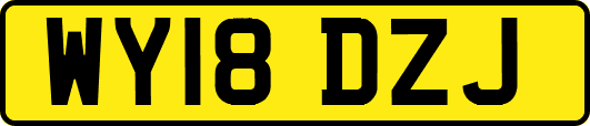 WY18DZJ