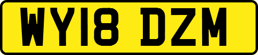 WY18DZM