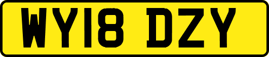 WY18DZY
