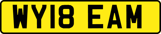 WY18EAM