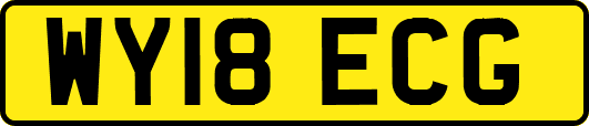 WY18ECG