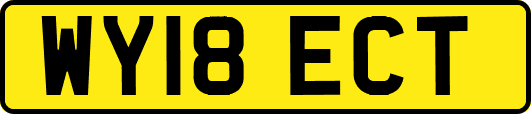 WY18ECT