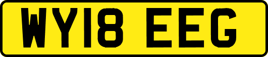 WY18EEG