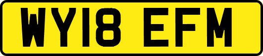 WY18EFM