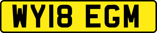 WY18EGM