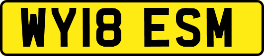 WY18ESM