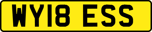 WY18ESS