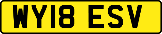 WY18ESV