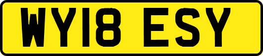 WY18ESY