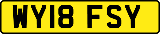 WY18FSY