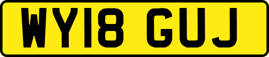 WY18GUJ
