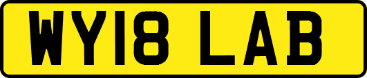 WY18LAB