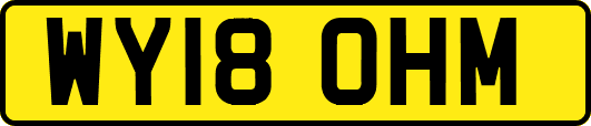 WY18OHM