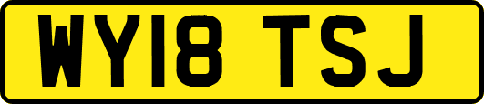 WY18TSJ
