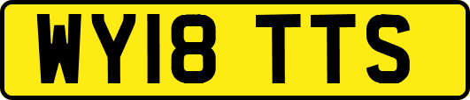 WY18TTS