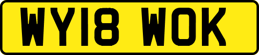 WY18WOK