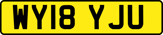 WY18YJU
