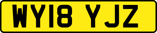 WY18YJZ
