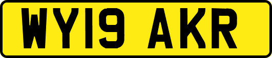 WY19AKR