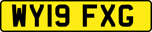 WY19FXG