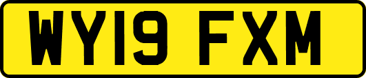 WY19FXM