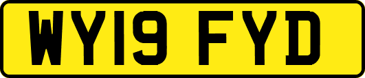 WY19FYD