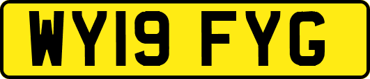 WY19FYG