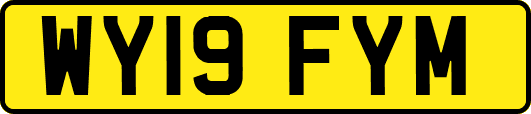 WY19FYM