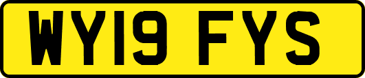 WY19FYS