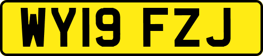 WY19FZJ