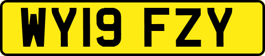 WY19FZY
