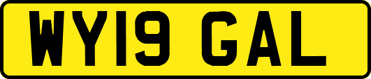 WY19GAL