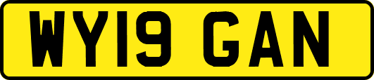 WY19GAN