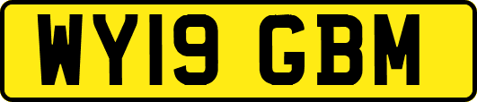 WY19GBM