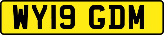 WY19GDM